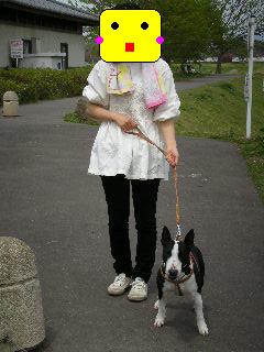 ���r�A�g���̍U���I�Ȗ���