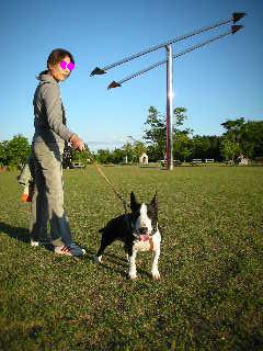 ���r�A�g���̍U���I�Ȗ���