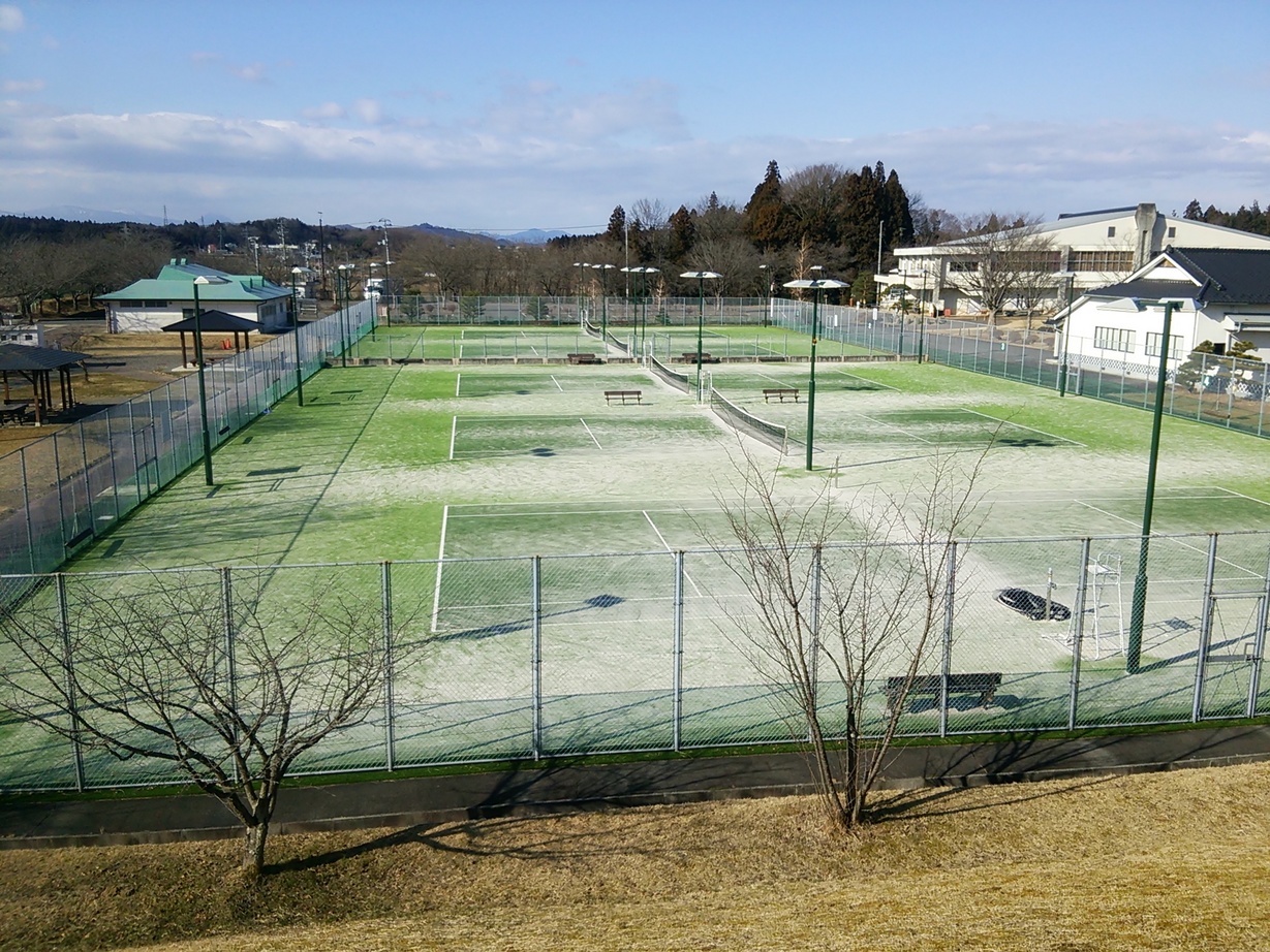 Ȗ؎sEejXVbvxXg Tennis Shop BEST