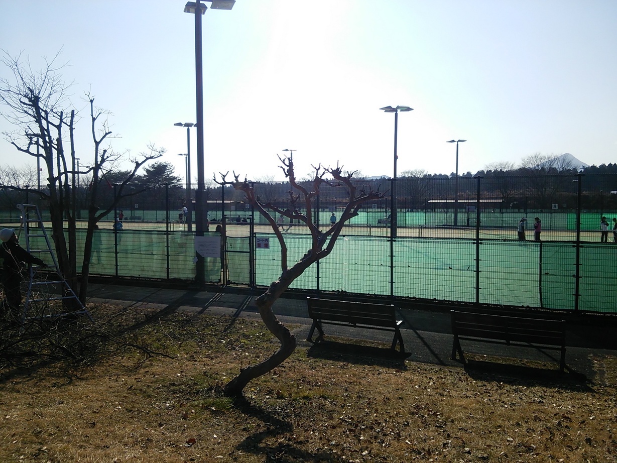 Ȗ؎sEejXVbvxXg Tennis Shop BEST