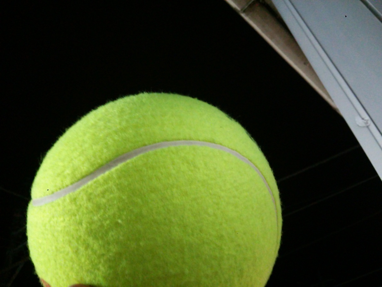 Ȗ؎sEejXVbvxXg Tennis Shop BEST