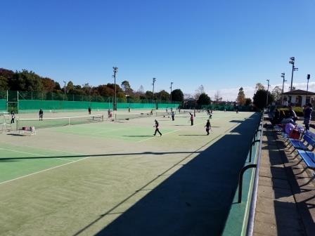 Ȗ؎sEejXVbvxXg Tennis Shop BEST