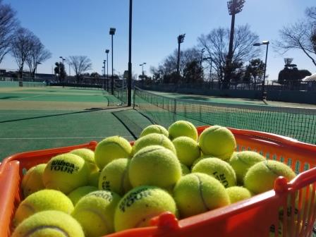Ȗ؎sEejXVbvxXg Tennis Shop BEST