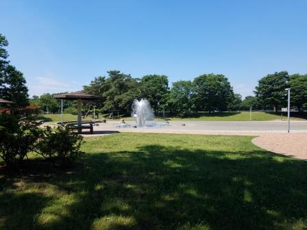 �Ȗ؎s�E�e�j�X�V���b�v�x�X�g Tennis Shop BEST