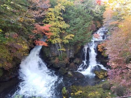 �Ȗ؎s�E�e�j�X�V���b�v�x�X�g Tennis Shop BEST