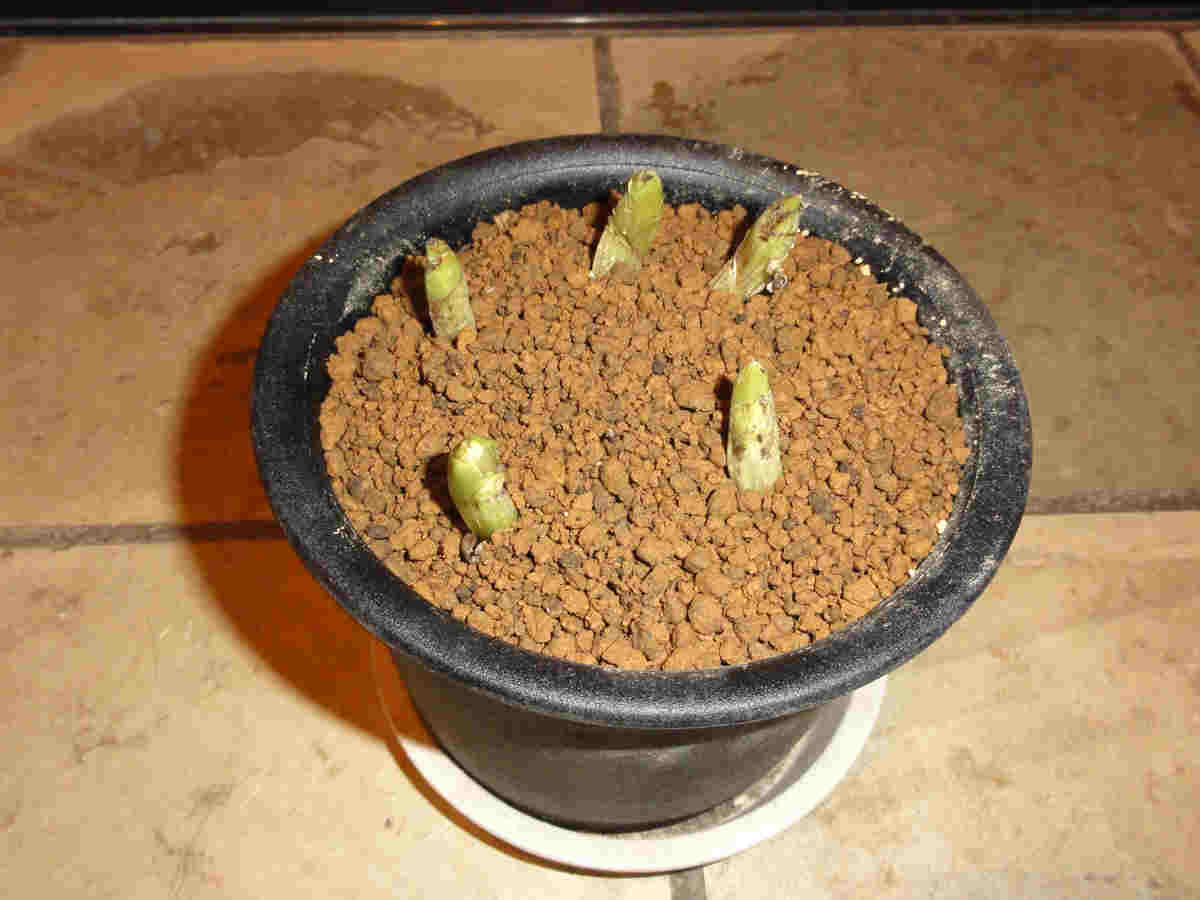 ���悤������������Ⴂ�܂����I