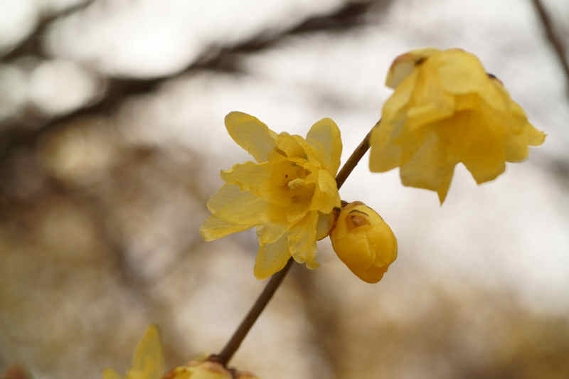 ���悤������������Ⴂ�܂����I