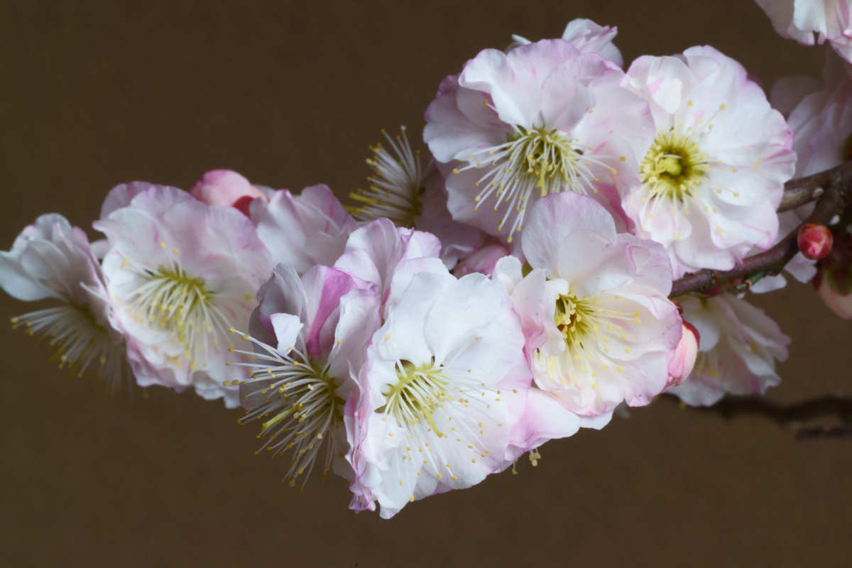 ���悤������������Ⴂ�܂����I