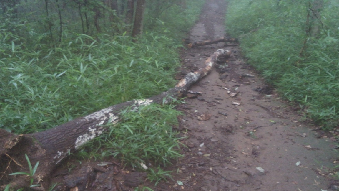 ���悤������������Ⴂ�܂����I