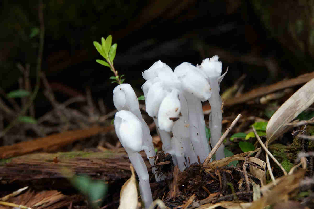 ���悤������������Ⴂ�܂����I