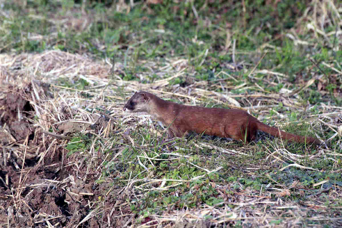 ���悤������������Ⴂ�܂����I