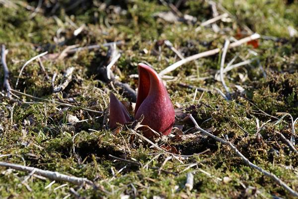 ���悤������������Ⴂ�܂����I