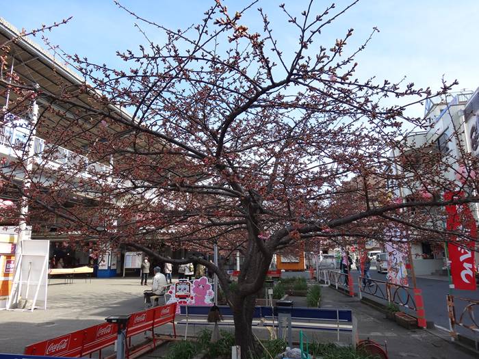 ���悤������������Ⴂ�܂����I