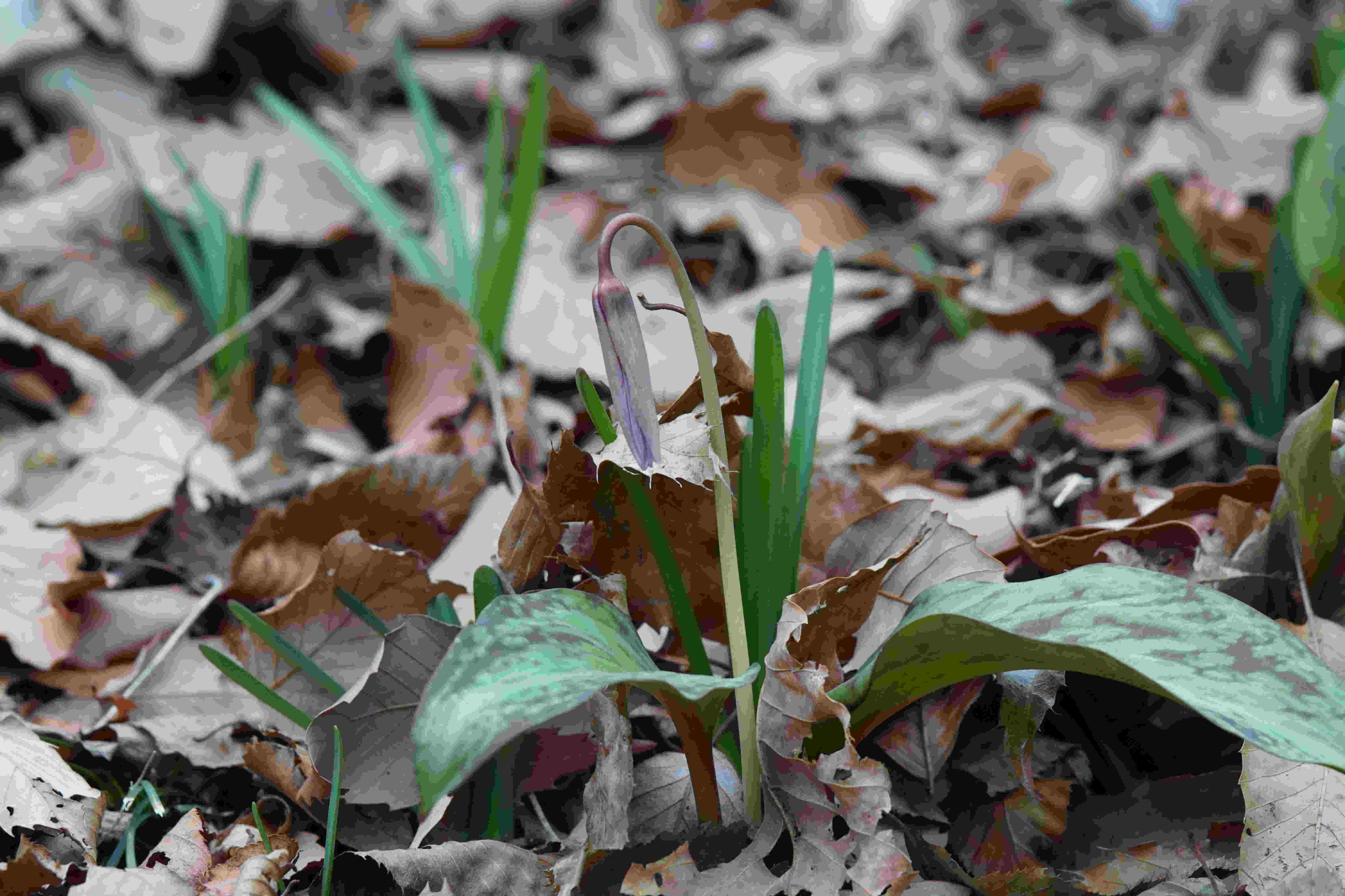 ���悤������������Ⴂ�܂����I