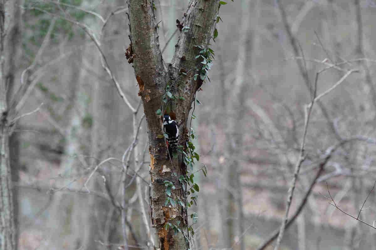 ���悤������������Ⴂ�܂����I