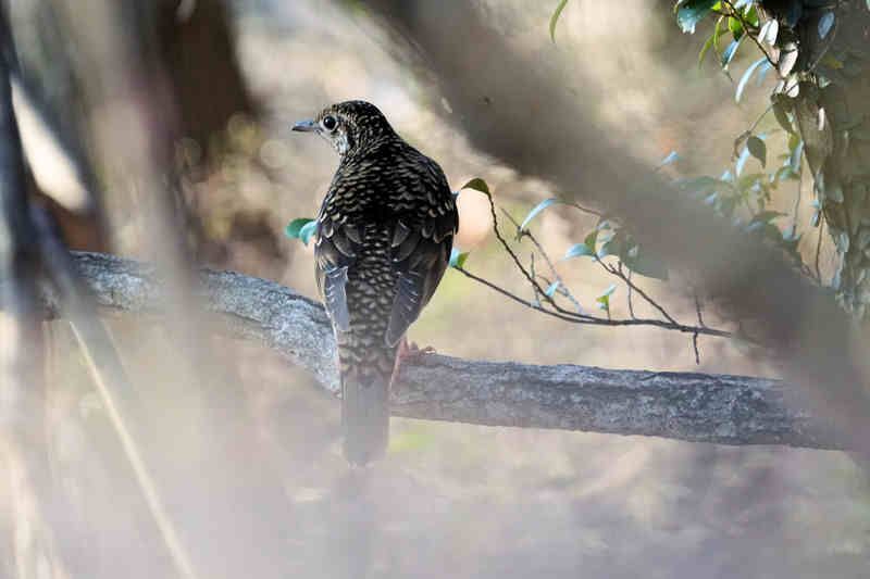 ���悤������������Ⴂ�܂����I