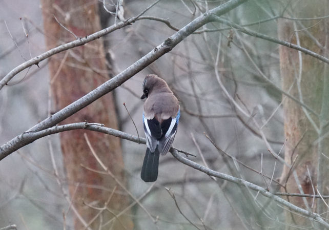 ���悤������������Ⴂ�܂����I