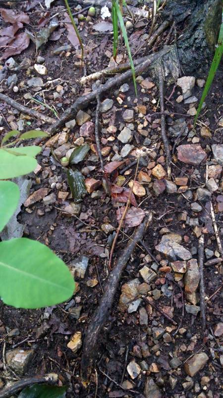 ���悤������������Ⴂ�܂����I