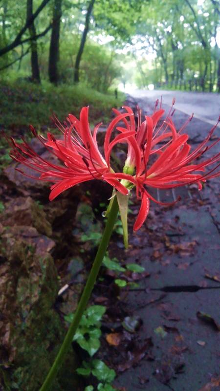 ���悤������������Ⴂ�܂����I