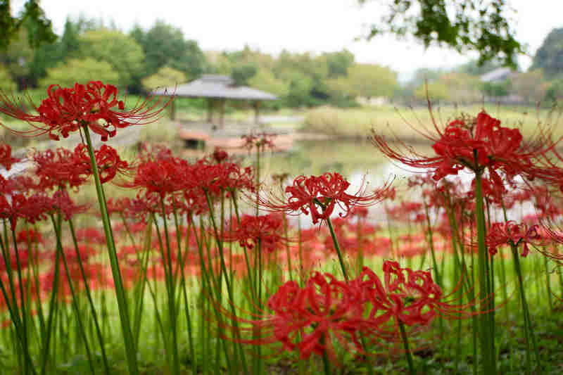 ���悤������������Ⴂ�܂����I