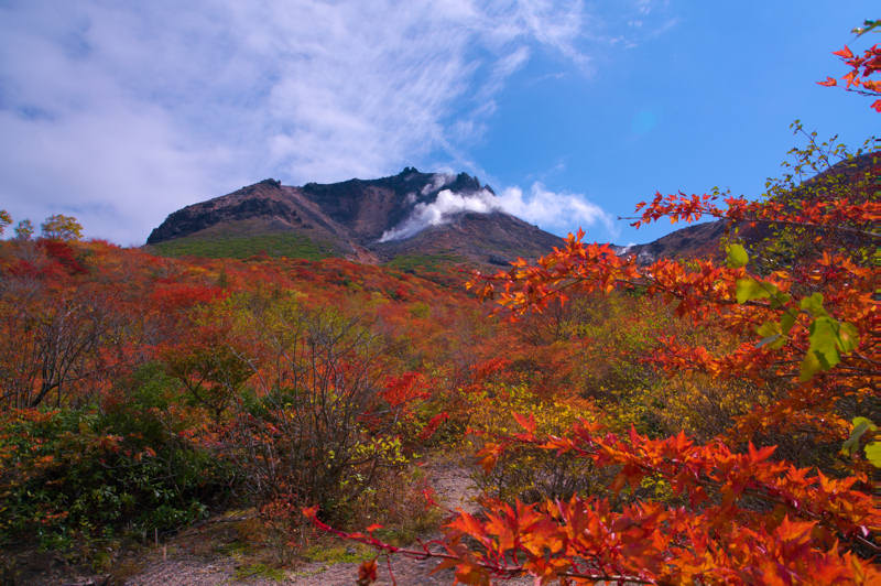 ���悤������������Ⴂ�܂����I