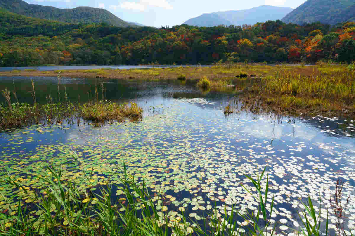 ���悤������������Ⴂ�܂����I