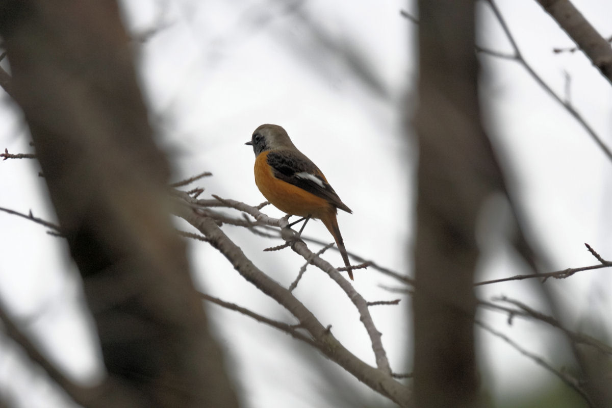 ���悤������������Ⴂ�܂����I