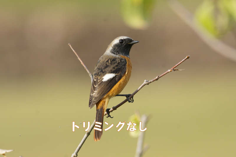 ���悤������������Ⴂ�܂����I