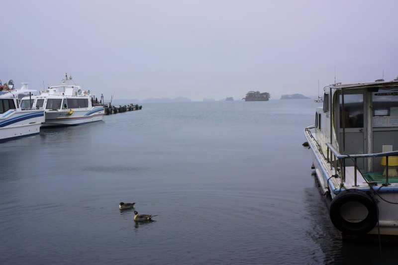 ���悤������������Ⴂ�܂����I