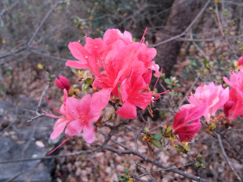 ���悤������������Ⴂ�܂����I