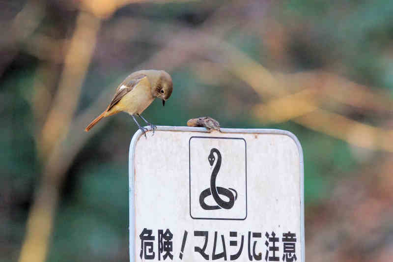 ���悤������������Ⴂ�܂����I