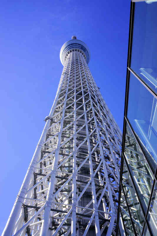 ���悤������������Ⴂ�܂����I