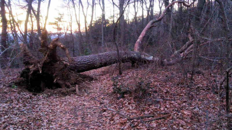 ���悤������������Ⴂ�܂����I