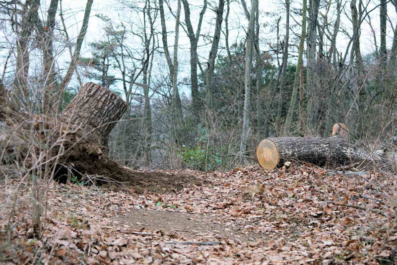 ���悤������������Ⴂ�܂����I