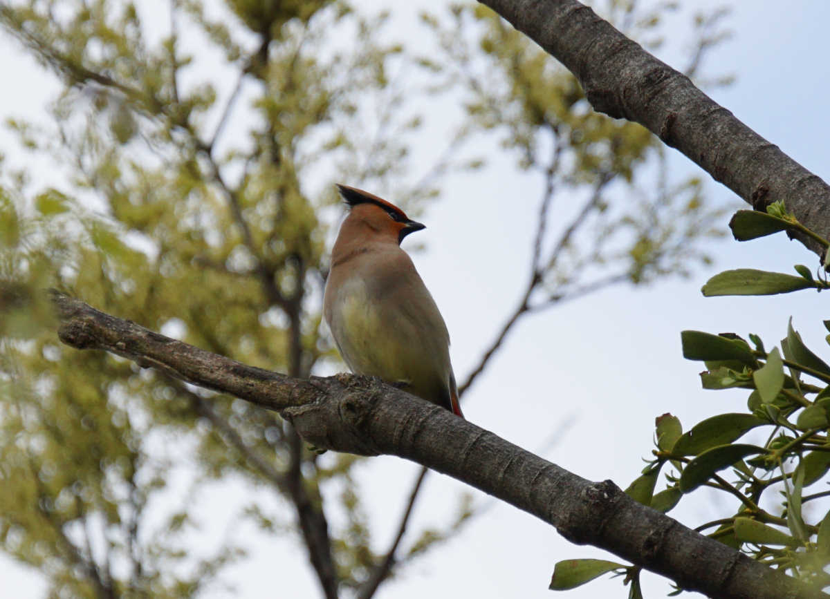 ���悤������������Ⴂ�܂����I