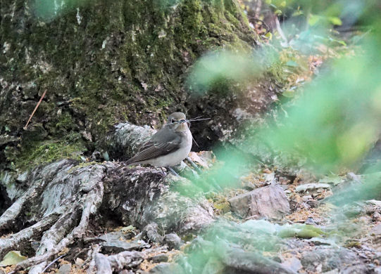 ���悤������������Ⴂ�܂����I