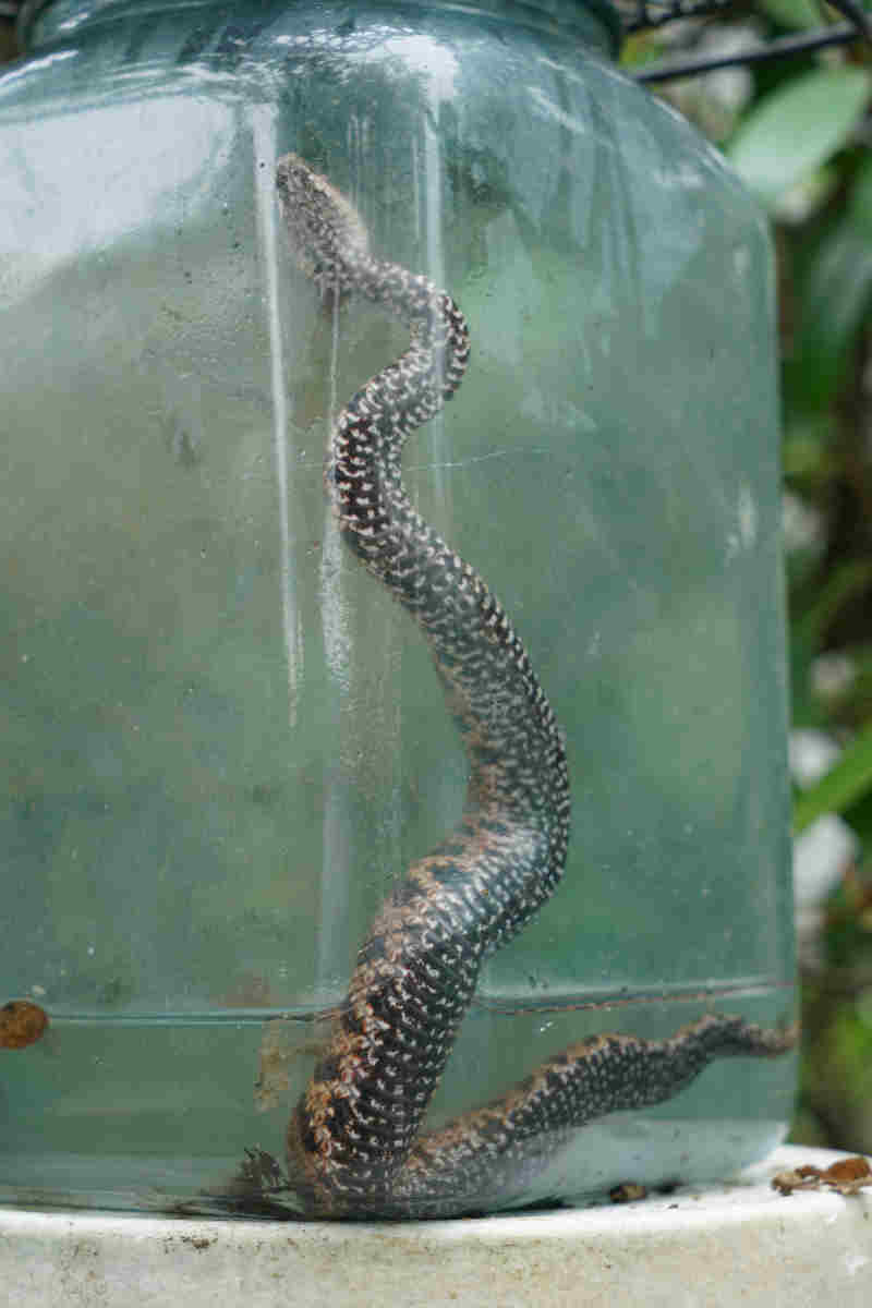 ���悤������������Ⴂ�܂����I