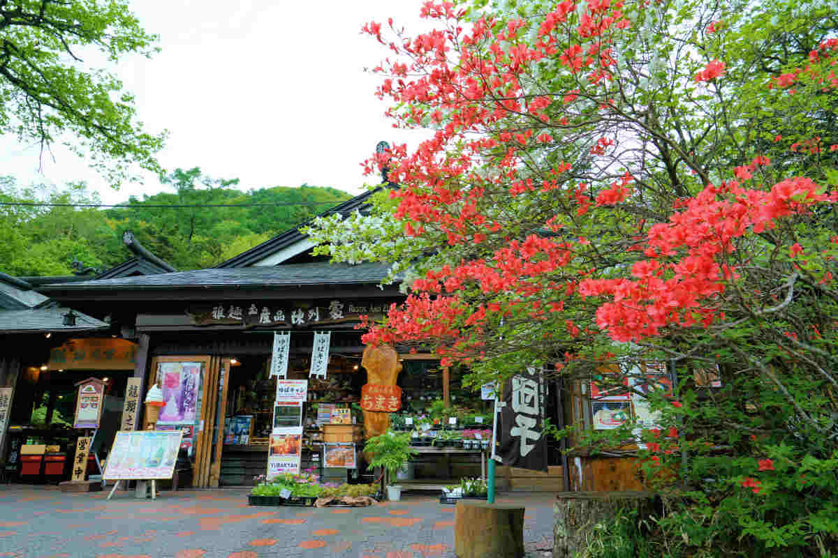 ���悤������������Ⴂ�܂����I