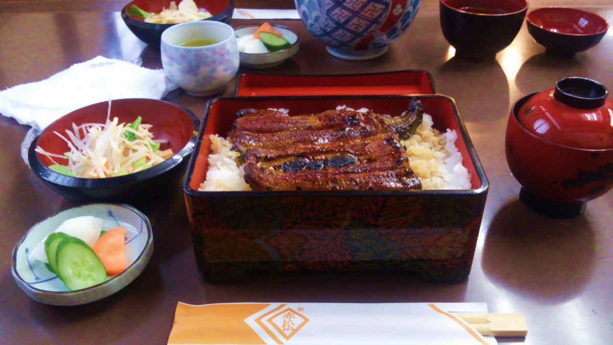 ���悤������������Ⴂ�܂����I