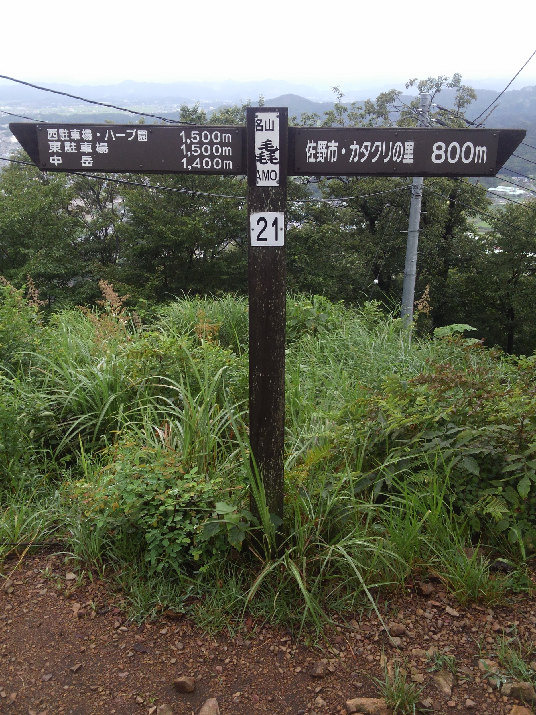 ���悤������������Ⴂ�܂����I