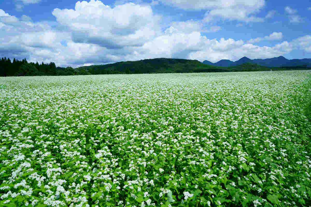 ���悤������������Ⴂ�܂����I