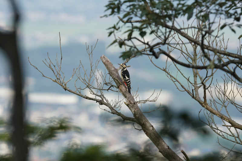 ���悤������������Ⴂ�܂����I