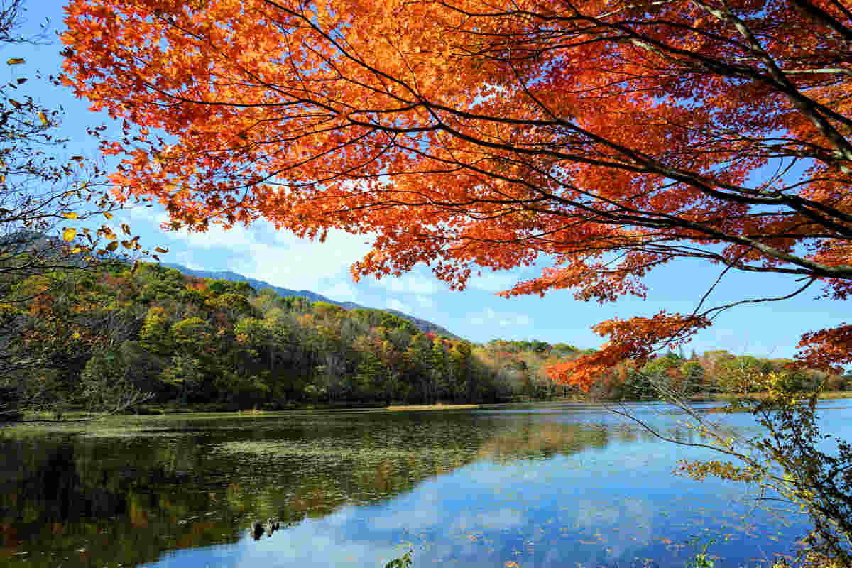 ���悤������������Ⴂ�܂����I