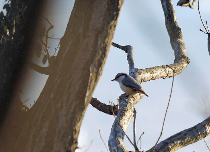 ���悤������������Ⴂ�܂����I