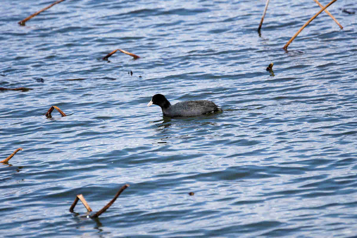 ���悤������������Ⴂ�܂����I