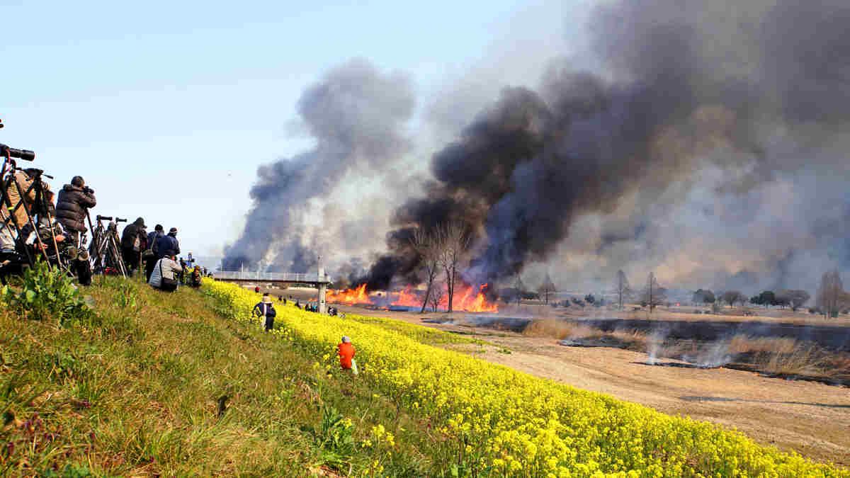 ���悤������������Ⴂ�܂����I