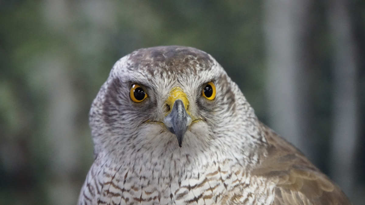 ���悤������������Ⴂ�܂����I