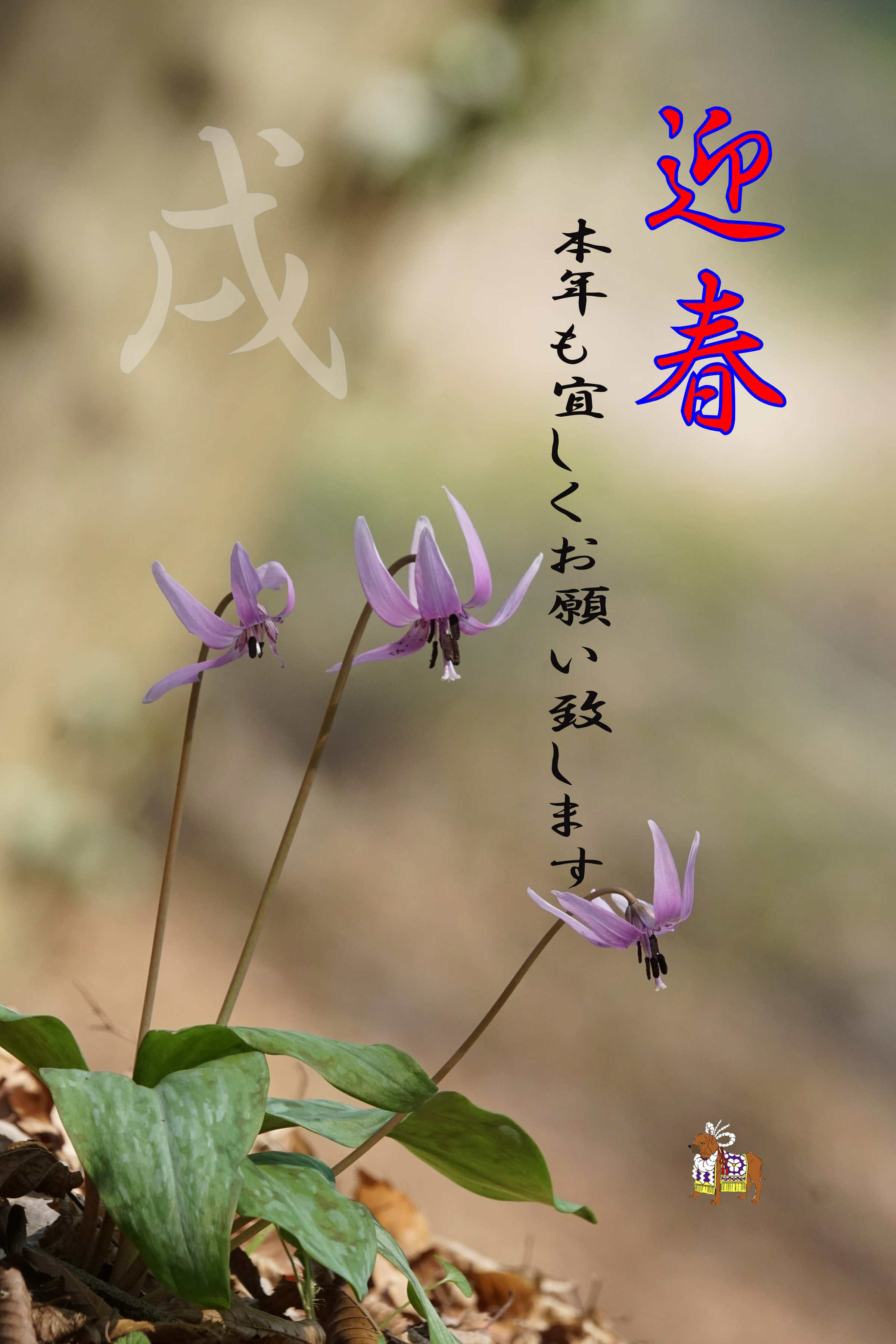 ���悤������������Ⴂ�܂����I