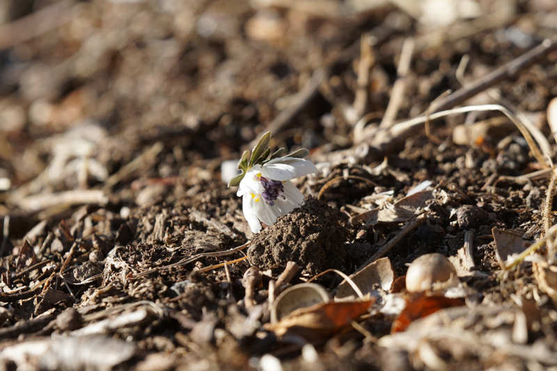 ���悤������������Ⴂ�܂����I