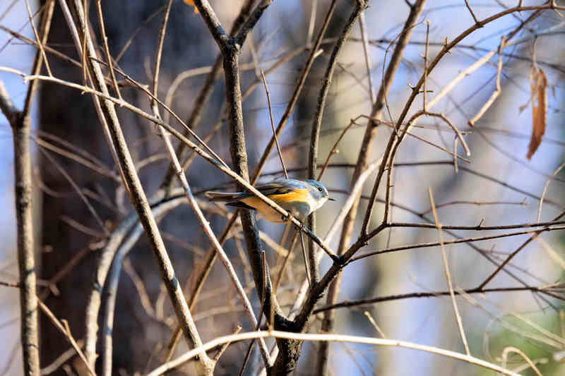 ���悤������������Ⴂ�܂����I